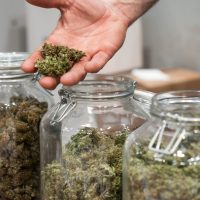 istock_070119_marijuana