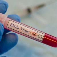 istock_81919_ebolavirus