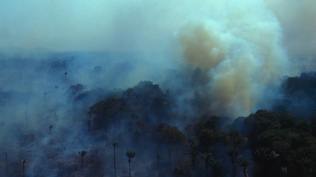 Pile Burning to continue for the next several weeks - Vimarsana News