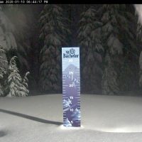 snowstake