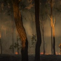 istock_021320_australiafires