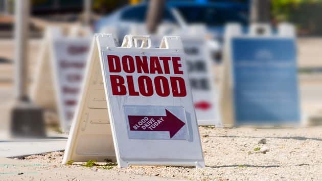 Give Blood During Shark Week - Vimarsana News