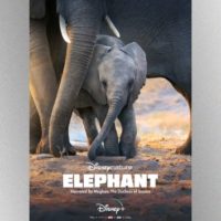 e_elephant_poster_03262020