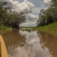 istock_63020_amazonriver