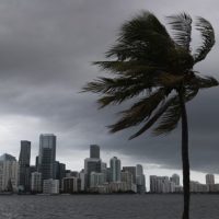 080120_getty_hurricane