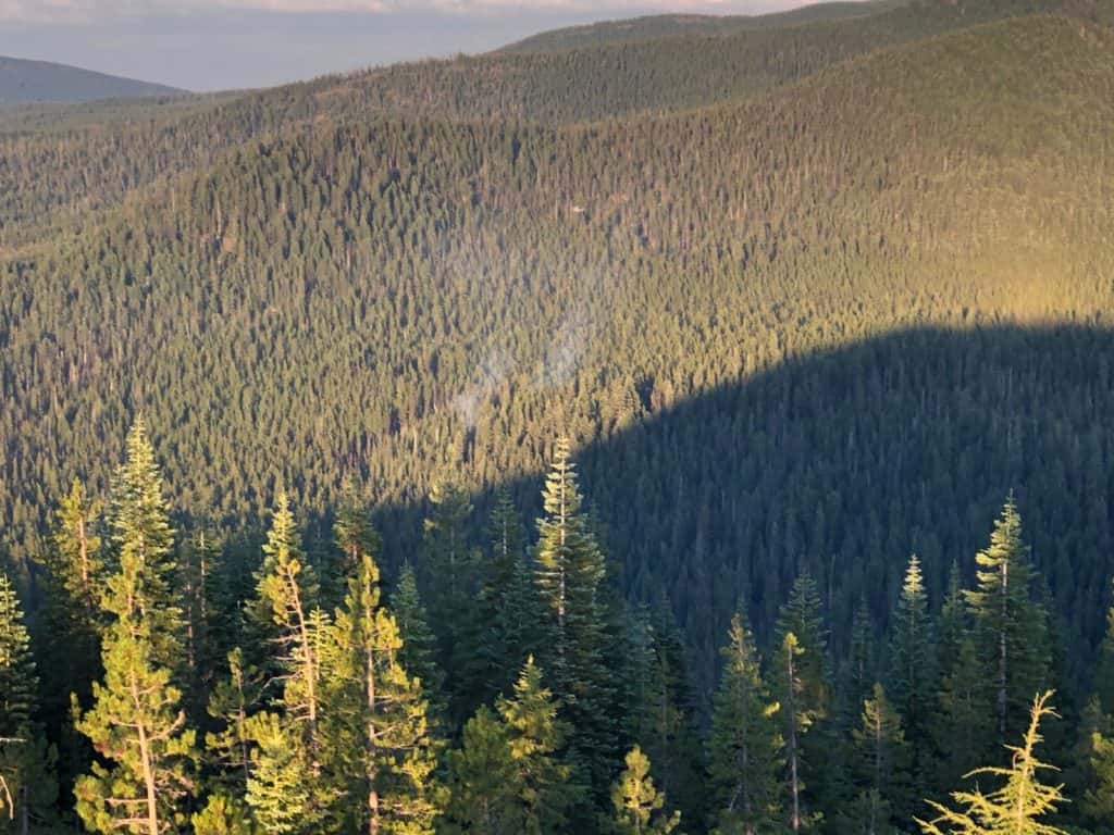 Forest Fire Danger High, Restrictions Posted - Vimarsana News