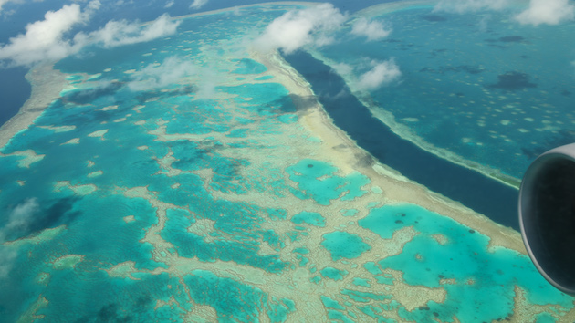 Great Barrier Reef has deteriorated to 'critical' level due to climate ...