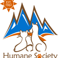 hsco-60th-logo-2021