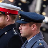 getty_041421_harrywilliam