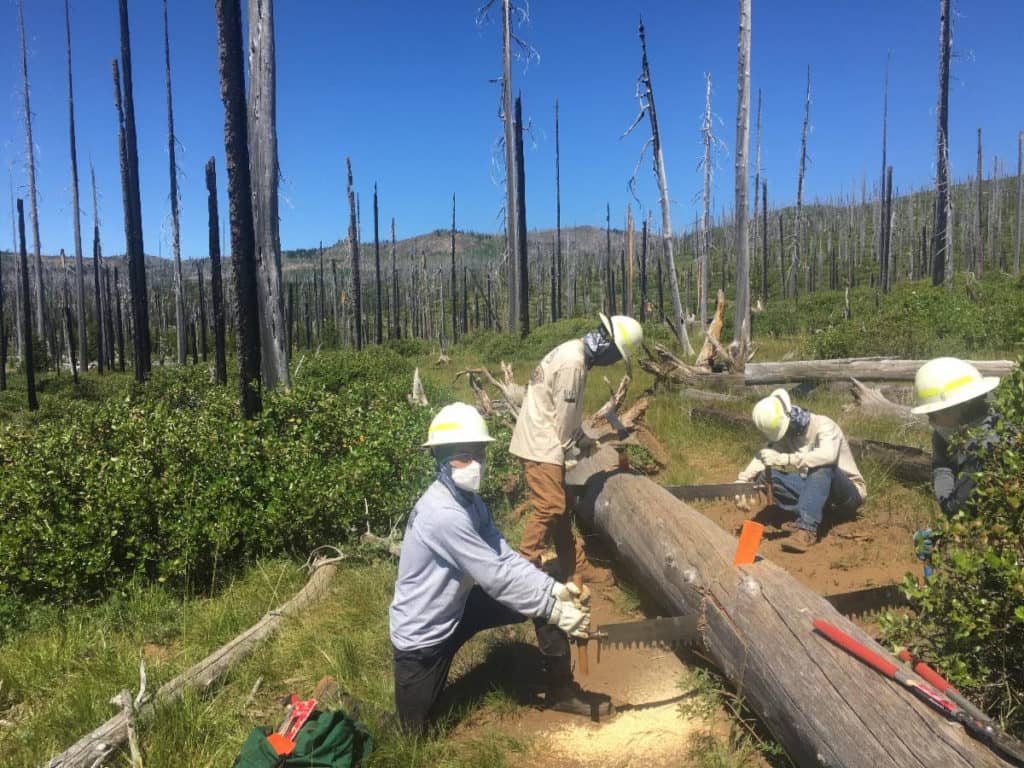 Conservation Corps Hiring Teens - Vimarsana News