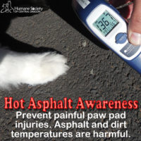 asphalt-awareness-hsco-org_