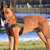 braintree20k-9