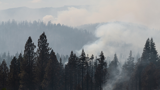 Bootleg Fire 40% Contained - Vimarsana News