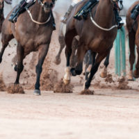 istock_081121_horseracing