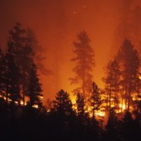 istock_082621_wildireheatwave