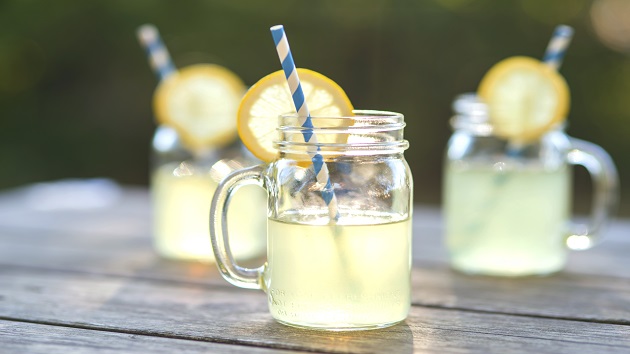 9-year-old raises money for diverse library books with lemonade stand - Vimarsana News