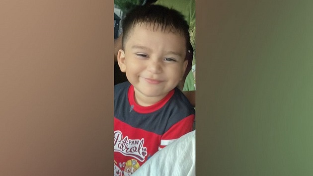 Mother pleads for help amid desperate search or missing 3-year-old in Texas - Vimarsana News