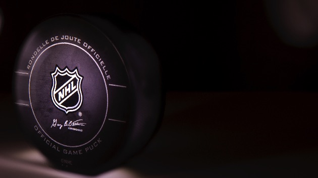NHL Commissioner Gary Bettman shares details about the upcoming NHL season - Vimarsana News