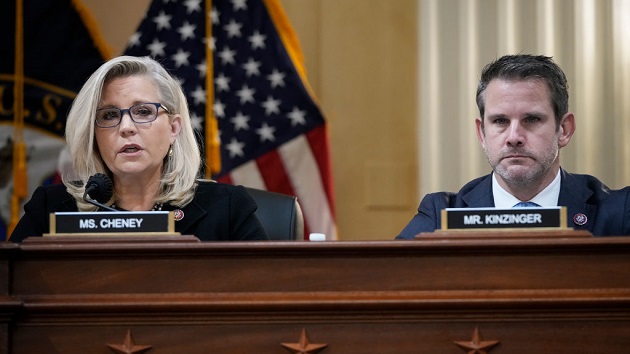 RNC votes to censure Cheney, Kinzinger for roles on House Jan. 6 committee - Vimarsana News