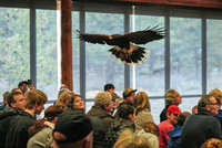 high_desert_museum