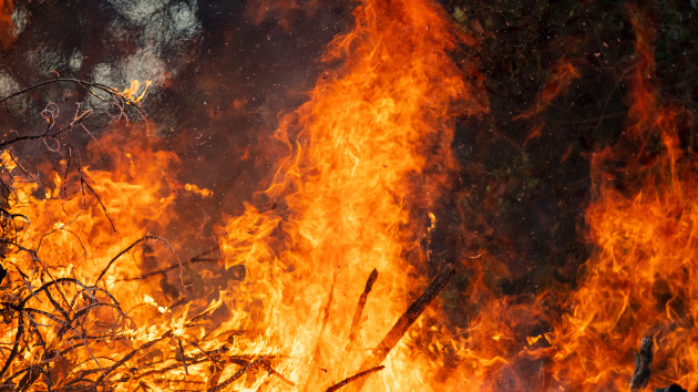 More than a dozen uncontained wildfires continue to burn in the West - Vimarsana News