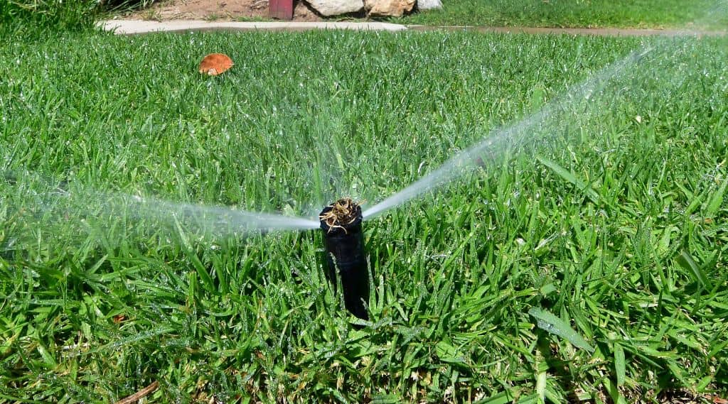 Bend Water Users Offered Turf Rebate Program - Vimarsana News