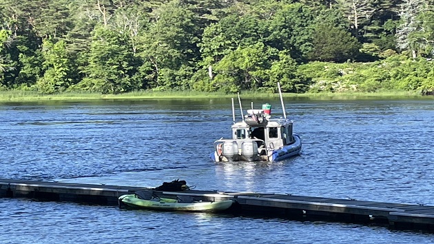 6-year-old boy remains missing after mother drowns trying to rescue him from Massachusetts river - Vimarsana News