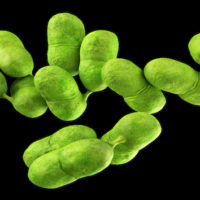 getty_070122_listeria