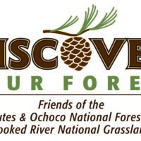 discover_your_forest