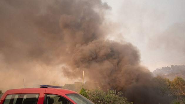 France, Spain and Portugal afflicted by heat, wildfires - Vimarsana News