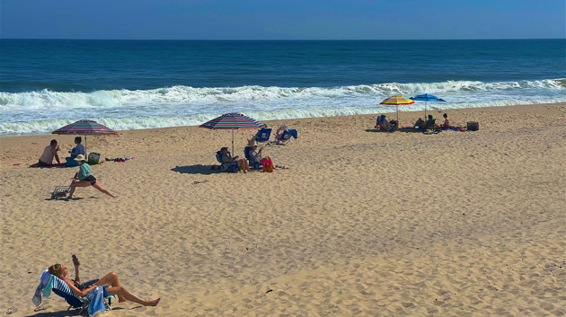 Shark sightings, encounters off Long Island coast spark concerns among beachgoers - Vimarsana News