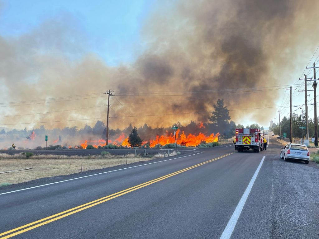 Bird Causes Brush Fire - Vimarsana News