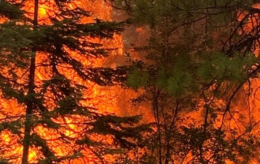 Many Wildfires Caused By Roadside Ignition - Vimarsana News
