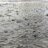 gettyrf_72622_rainpuddle-2