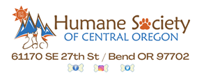 HSCO Looks For New CEO - Vimarsana News