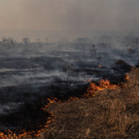 gettyrf_081722_forestfire