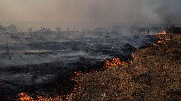 Forest fires destroyed nearly 23 million acres of land in 2021, and it's expected to get worse, experts say - Vimarsana News