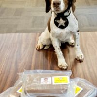 k9_marley-fentanyl_seizure_09282022-2