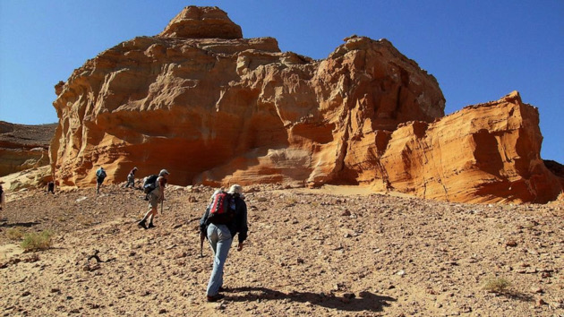 Scientists discover fossils of new predatory dinosaur species in Mongolia - Vimarsana News