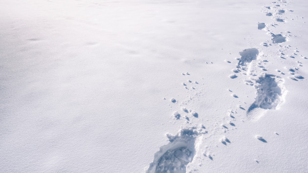 Buffalo storm 'hero' known as 'Merry Christmas Jay' speaks out - Vimarsana News
