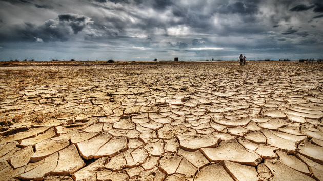 2022 was fifth-warmest year on record and had 3rd most billion-dollar disasters, scientists say - Vimarsana News