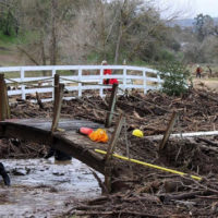 missing-boy-floodwaters-ho-mz-02-230112_1673529349823_hpembed_3x2_992