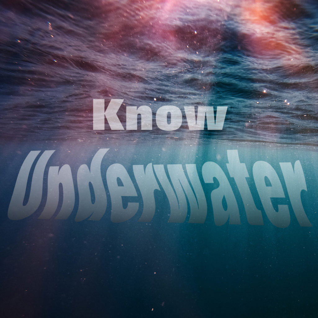 Library Offers Underwater Programs In March - Vimarsana News
