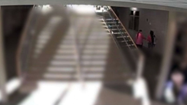 Ninth grader sues school district after staffer allegedly 'physically assaulted' her when she didn't recite the Pledge of Allegiance - Vimarsana News