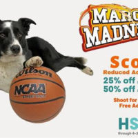 hsco_march_madness