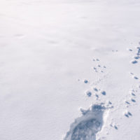 gettyrf_123022_snowfootprints234859377