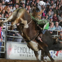 high_desert_stampede-2
