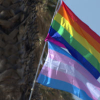 gettyrf_033123_translgbtqflags451195