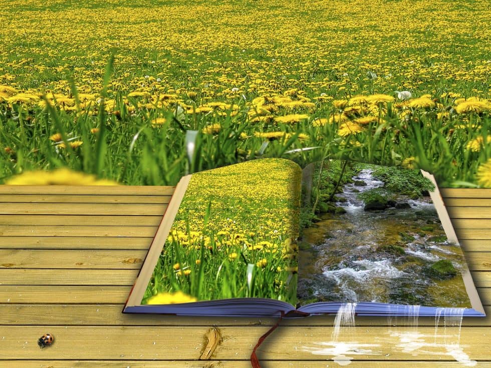 Earth Day Birthday Poetry Jam! - Vimarsana News