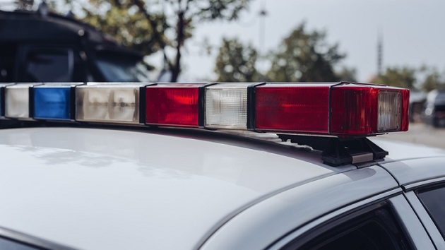 Man allegedly guns down parents and their two friends days after his release from prison - Vimarsana News